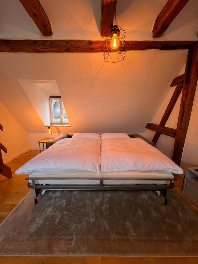 Ludwigshome Zentralste Lage, Klima, Smarttv, Terrasse ルートヴィヒスブルク エクステリア 写真